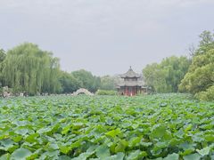 -莲池书院博物馆