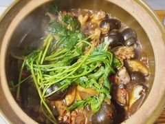 -食爺炭炉鸡煲·烧烤