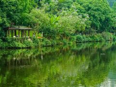 -重庆彩云湖湿地公园