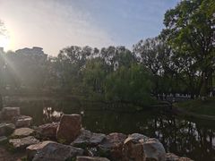 -万泉公园