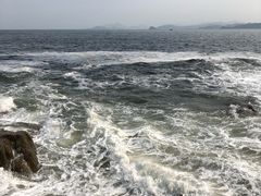 -五谷芳乳鸽王（大梅沙总店C区）(网红打卡店)