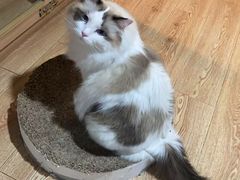 -白兔子密室(长寿路店)