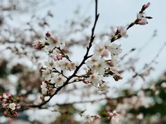 -苏州上方山国家森林公园