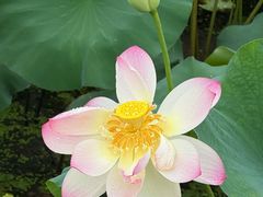 -朵云书院(滴水湖店)
