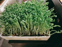 活豆苗-湊湊火锅·茶憩(上海合生汇店)