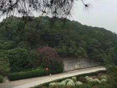 -狐尾山公园