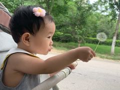 -长白岛森林公园