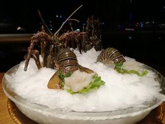 -芥末日本料理(打浦路铂尔曼旗舰店)