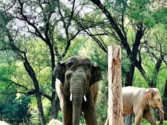 -北京野生动物园