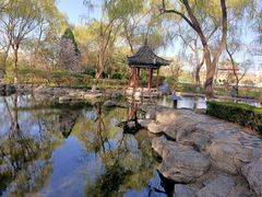 -百脉泉景区