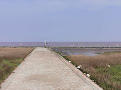 -南汇嘴观海公园