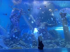 -哈尔滨波塞冬海底世界