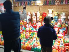 -廊坊固安福朋喜来登酒店