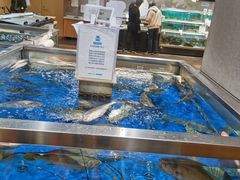 -盒马鲜生(枣园路店)