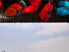 -杭州宋城
