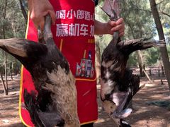 -坛南湾阿强农家乐.海鲜大排档老字号(福州地标美食店)
