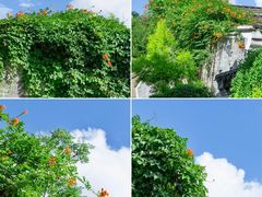 -东钱湖旅游度假区