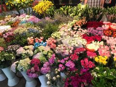 -双季花艺园艺市场(浦东店)