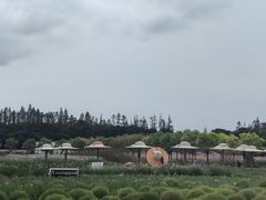-嘉北郊野公园