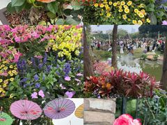 -人民公园(罗湖区)