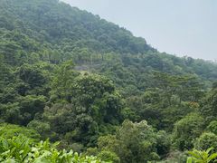 -火炉山森林公园