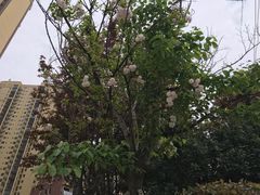 -邓小平故里