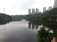 -重庆彩云湖湿地公园