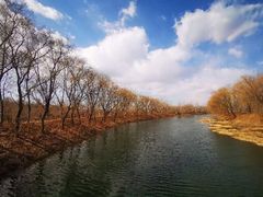 -东郊湿地公园