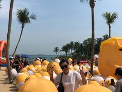 -巴拉湾海滩