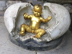 -西双版纳原始森林公园