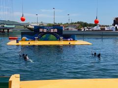 -秦皇岛乐岛海洋王国