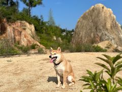-鼓岭旅游度假区