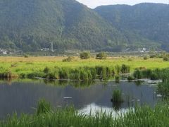 -腾冲北海湿地