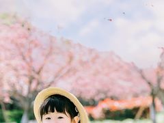 -高东镇樱花园