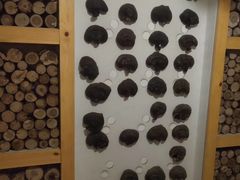 -菲拉拉漫温泉(东环路店)