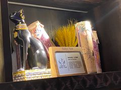 -雪灵魔法世界SHELLY’S TAROT(大良桂畔里店)