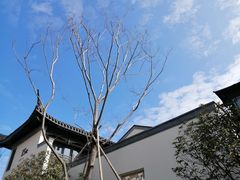 -溪口-滕头旅游景区
