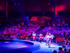 -珠海横琴长隆《卡卡虎奇遇记》