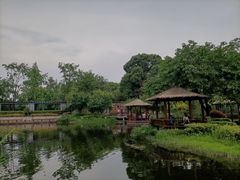 -成飞公园