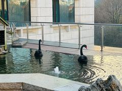 -行者书屋大堂吧 ·下午茶(南京圣和府邸酒店)