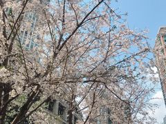 -兴业太古汇·停车场