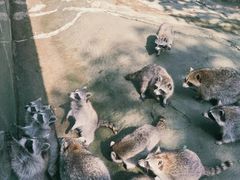 -杭州野生动物世界