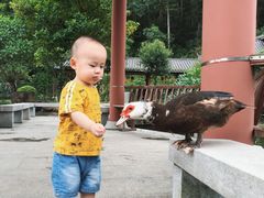 -广州神农草堂中医药博物馆
