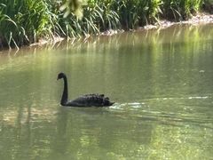 -宝岩生态观光园