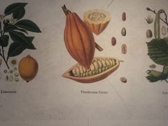 -Buonissimo(佛罗伦萨小镇店)