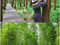-同里国家湿地公园