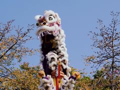-佛山市祖庙博物馆