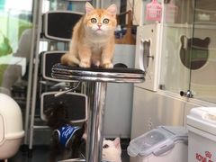 -萌兽医馆·眼科·异宠专科(三里屯店)
