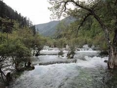 -九寨沟-树正沟