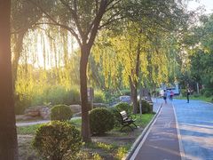 -太阳宫公园